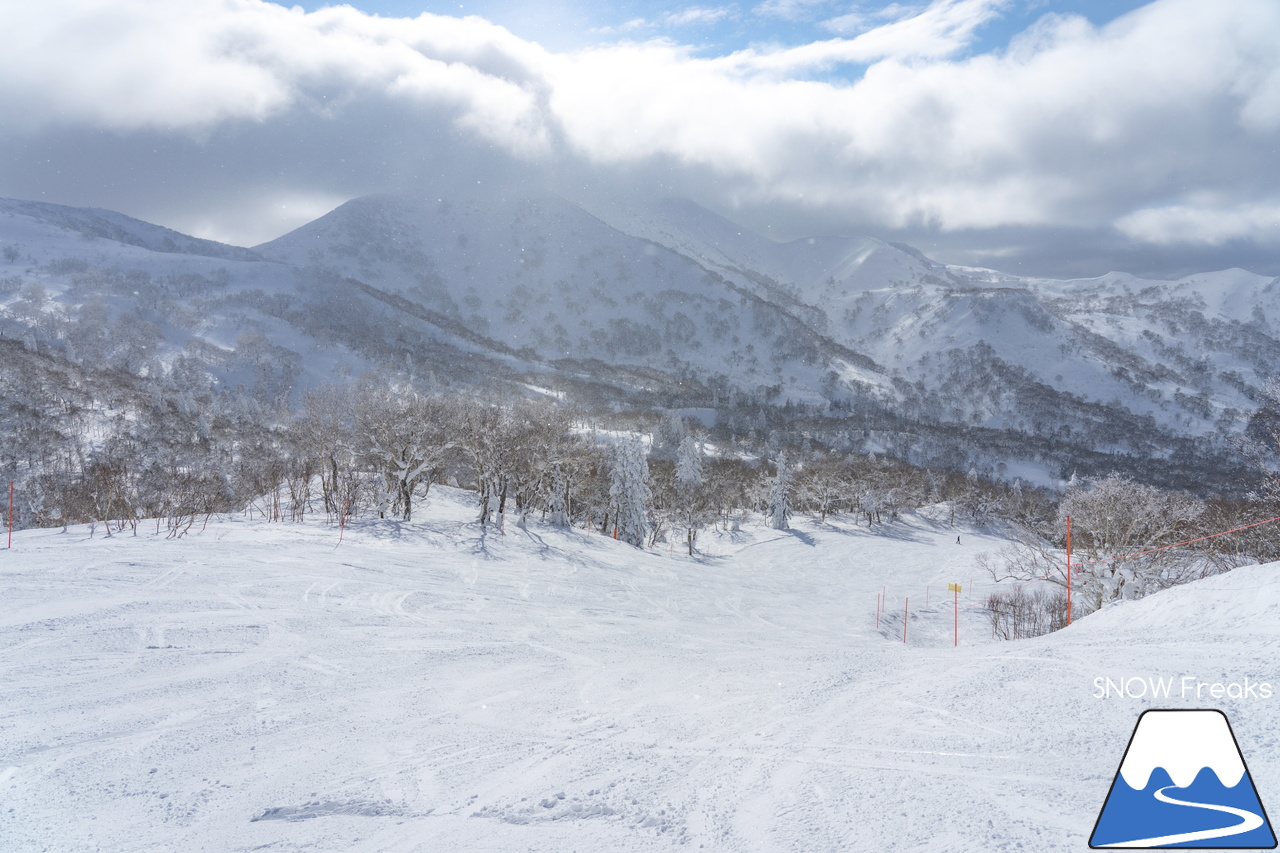 キロロリゾート｜真っ白な雪と真っ青な空。粉雪ゲレンデクルージングが気持ち良いキロロ。この週末は『Sweet Protection 試着会』も開催中！